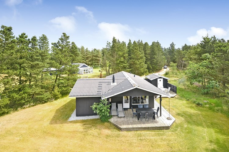 Günstig Urlaub Blavand mit Hund Wählen Sie unter 150 Ferienhäusern